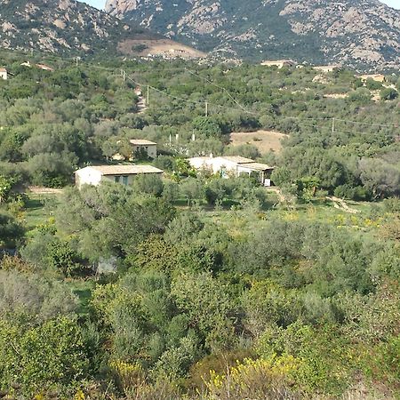 Agriturismo Agrisole Olbia Buitenkant foto