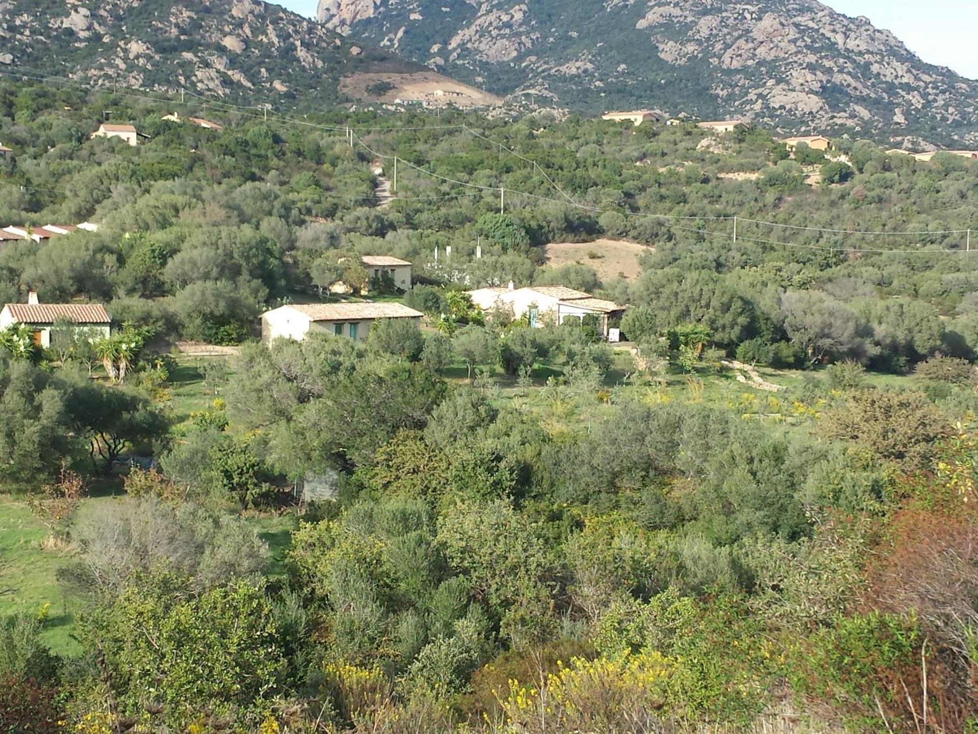 Agriturismo Agrisole Olbia Buitenkant foto