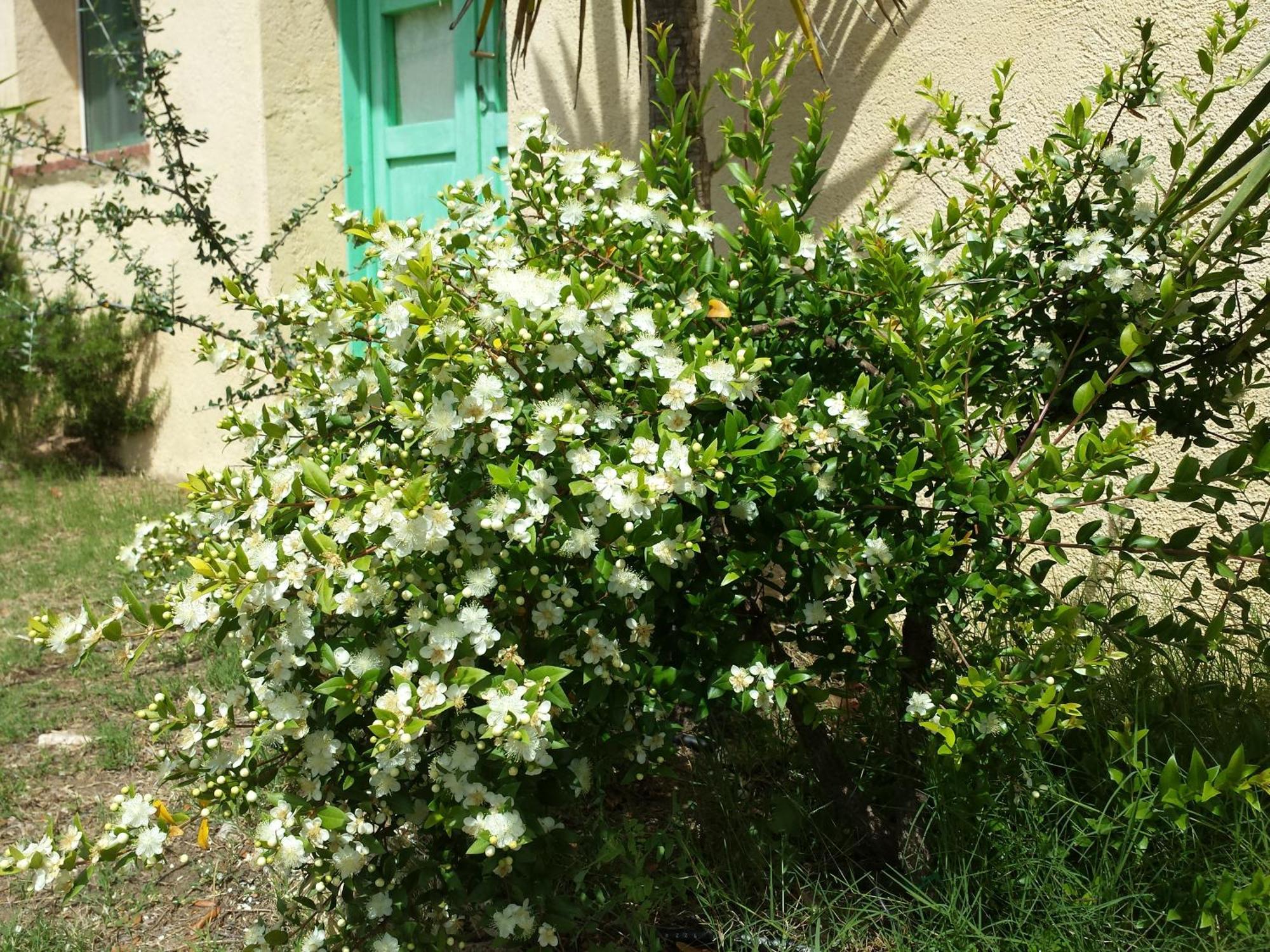 Agriturismo Agrisole Olbia Buitenkant foto