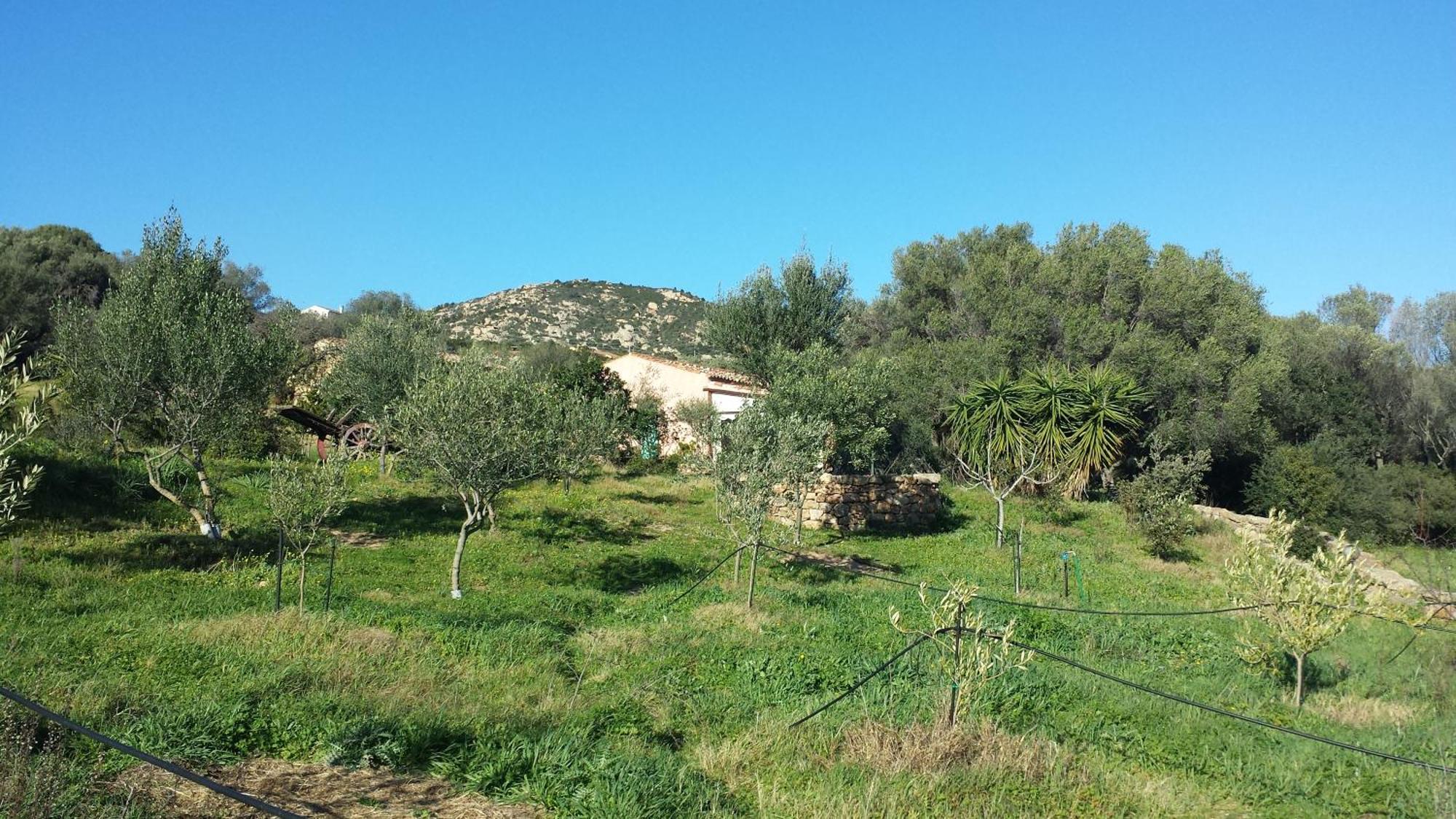 Agriturismo Agrisole Olbia Buitenkant foto