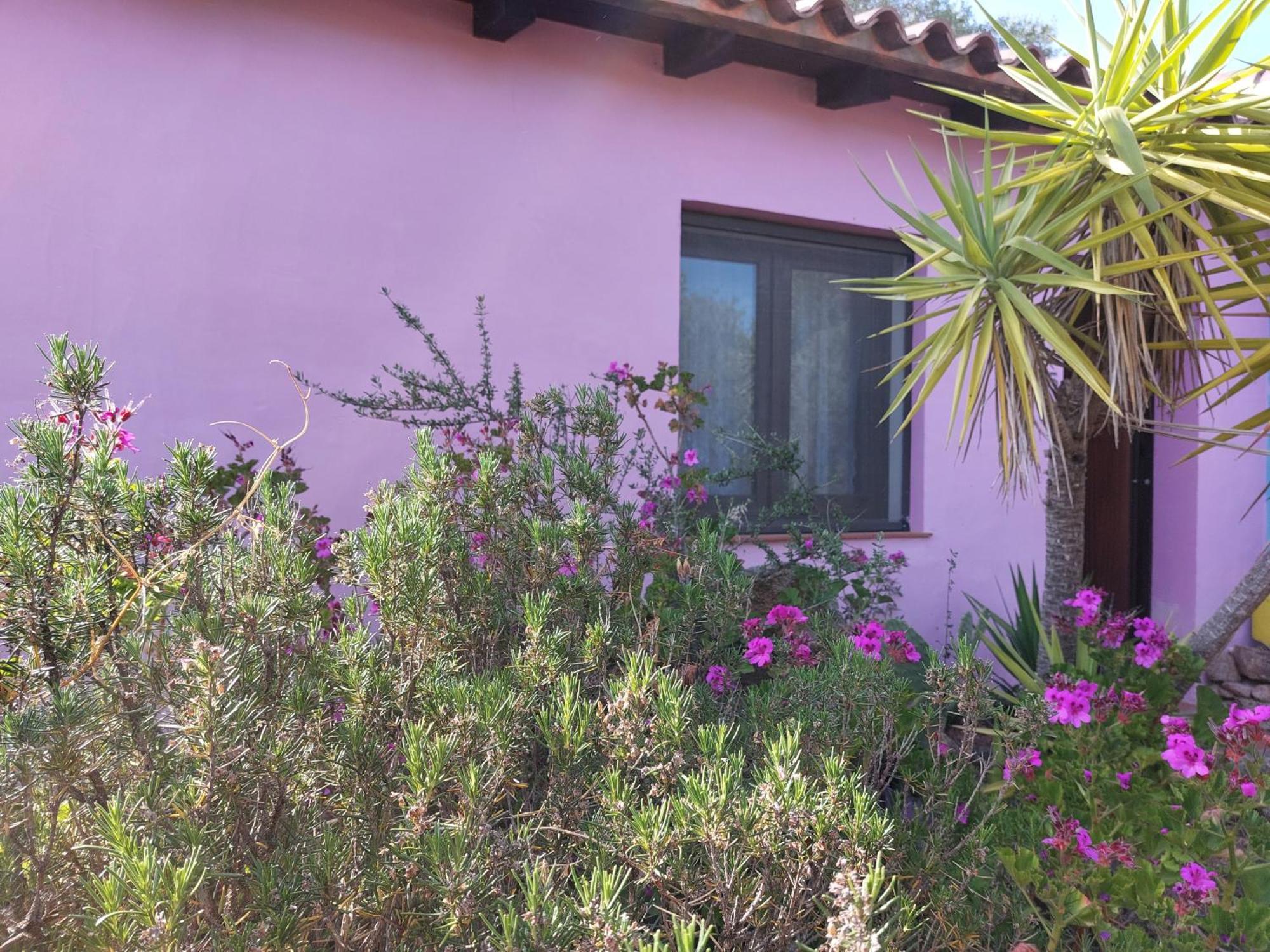 Agriturismo Agrisole Olbia Buitenkant foto