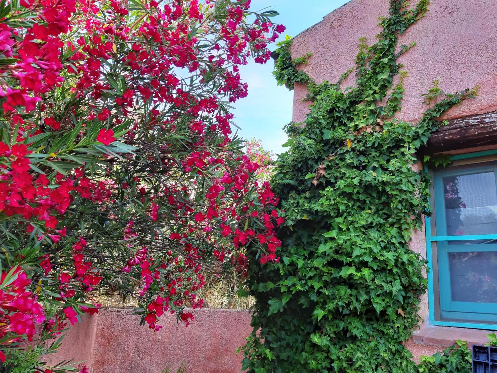 Agriturismo Agrisole Olbia Buitenkant foto